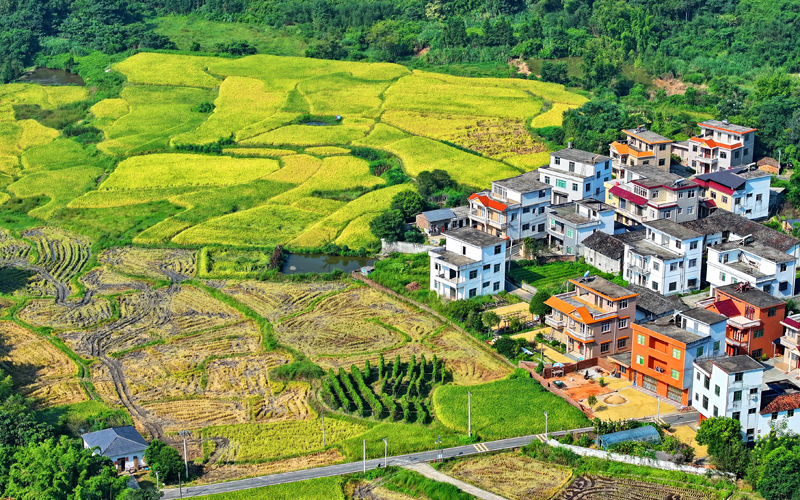 江西安遠：山村“豐”景如畫